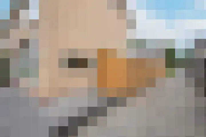 Pastoor Lemeerstraat 48 De Goorn thumbnail 47