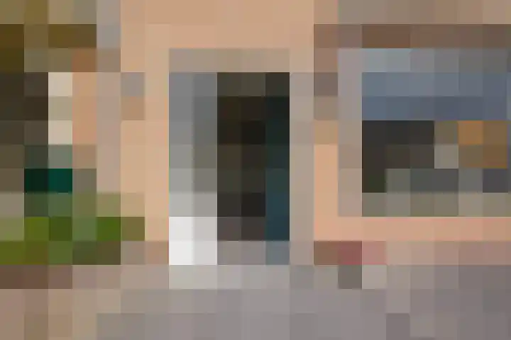 Pastoor Lemeerstraat 48 De Goorn thumbnail 6