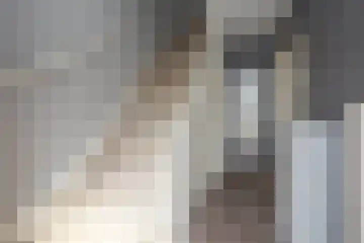 Pastoor Lemeerstraat 48 De Goorn thumbnail 8