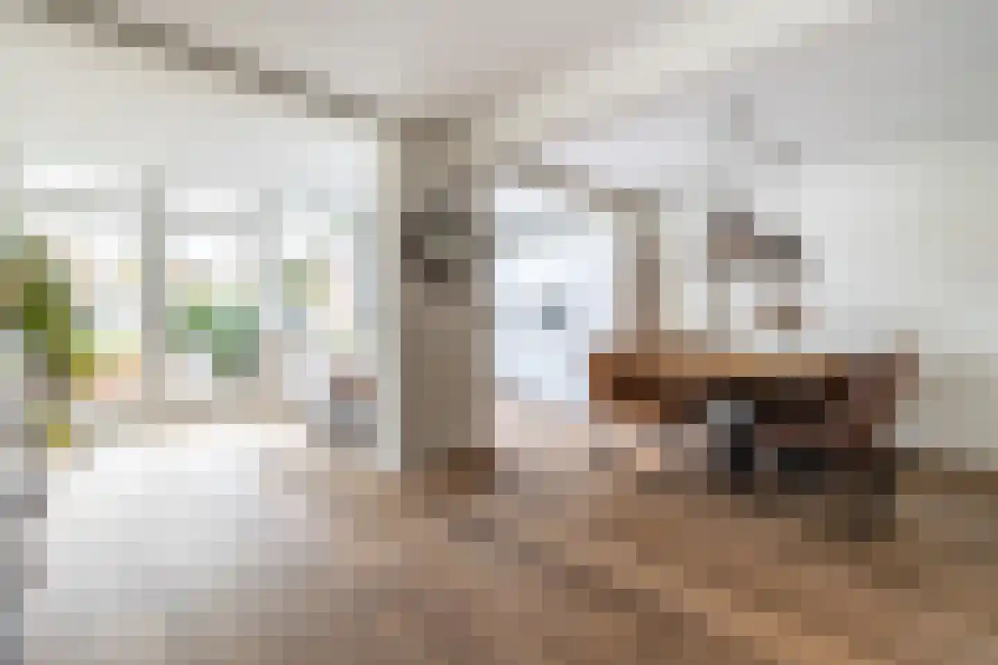 Pastoor Lemmensstraat 7 Ulvenhout thumbnail 11