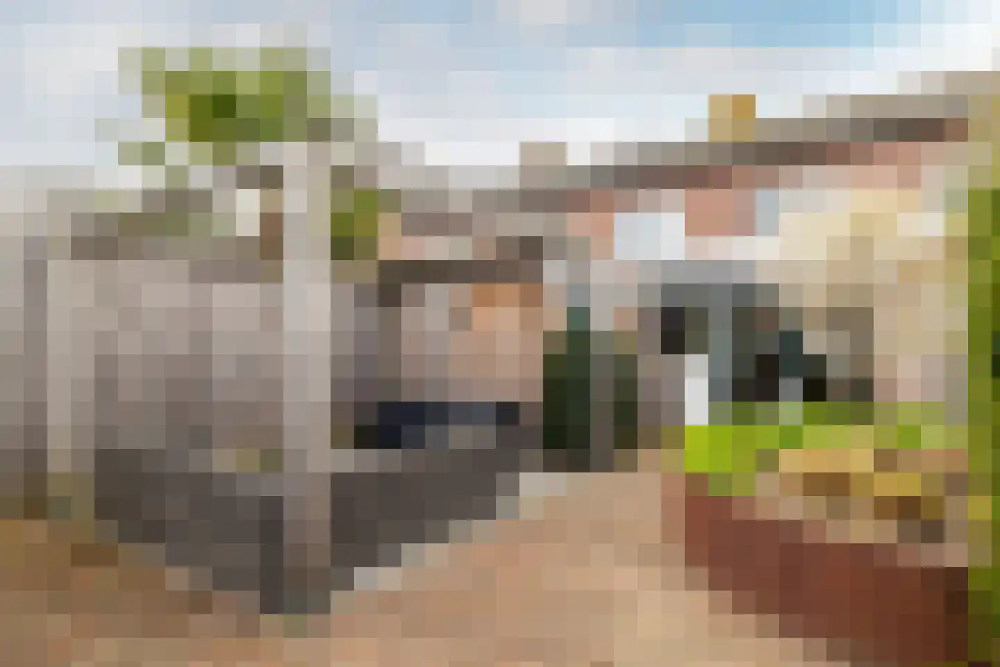 Pastoor Lemmensstraat 7 Ulvenhout thumbnail 30