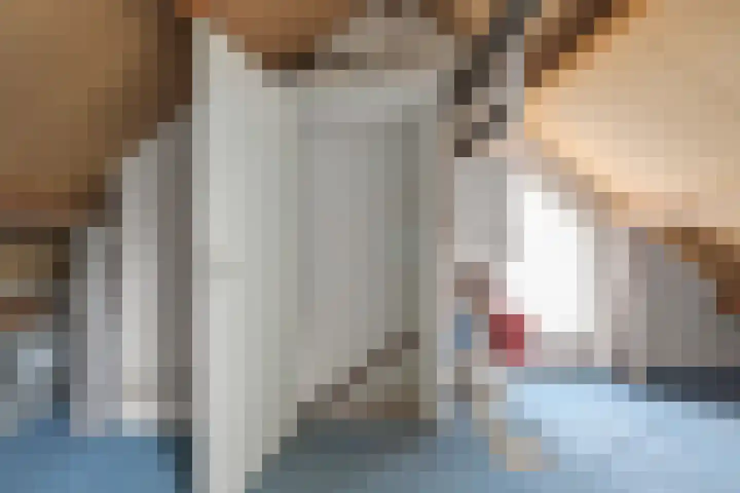 Pastoor Leursstraat 25 Maasbree thumbnail 32