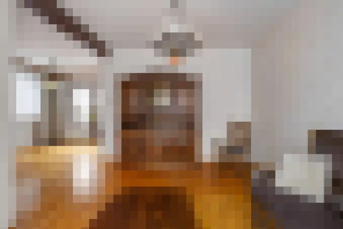Pastoor Leursstraat 25 Maasbree thumbnail 6