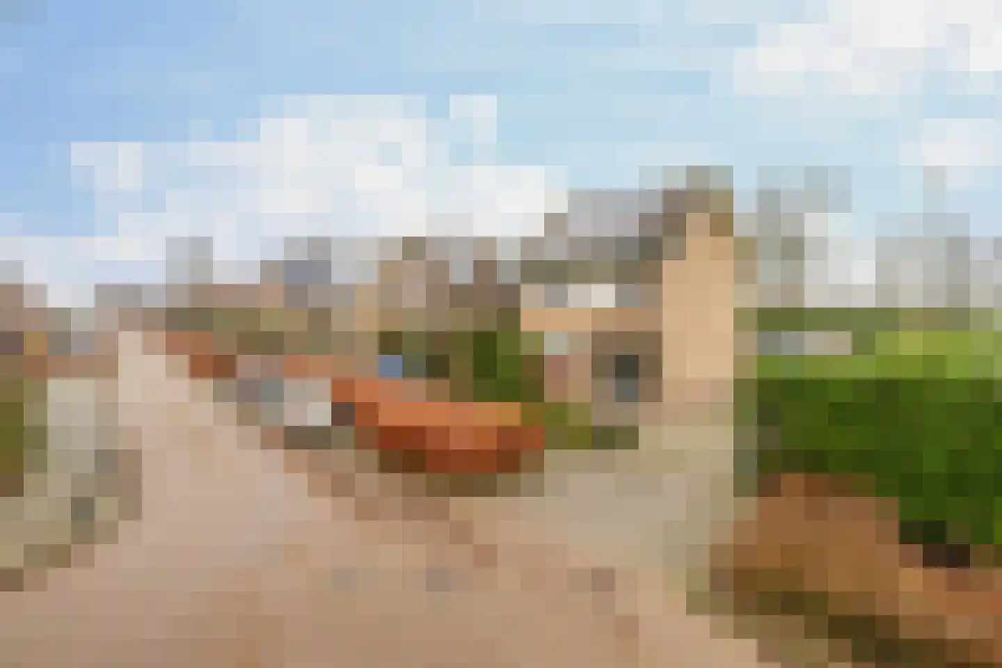 Pastoor Lombartsstraat 24 Moerdijk thumbnail 25