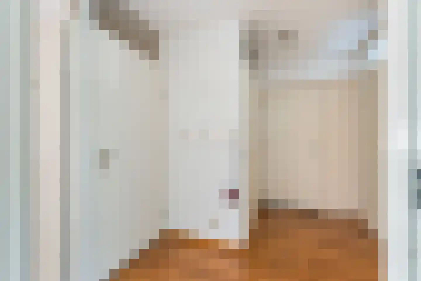 Pastoor Loosstraat 5 Prinsenbeek thumbnail 15