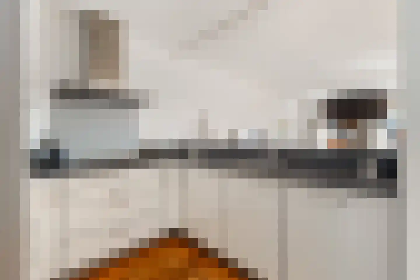 Pastoor Loosstraat 5 Prinsenbeek thumbnail 23
