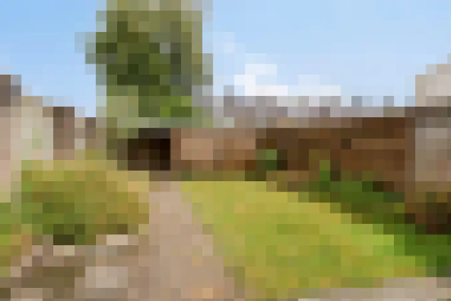 Pastoor M. van Beekstraat 1 Best thumbnail 33