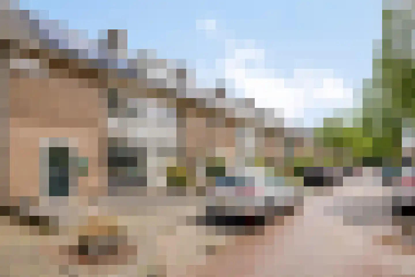Pastoor M. van Beekstraat 1 Best thumbnail 40