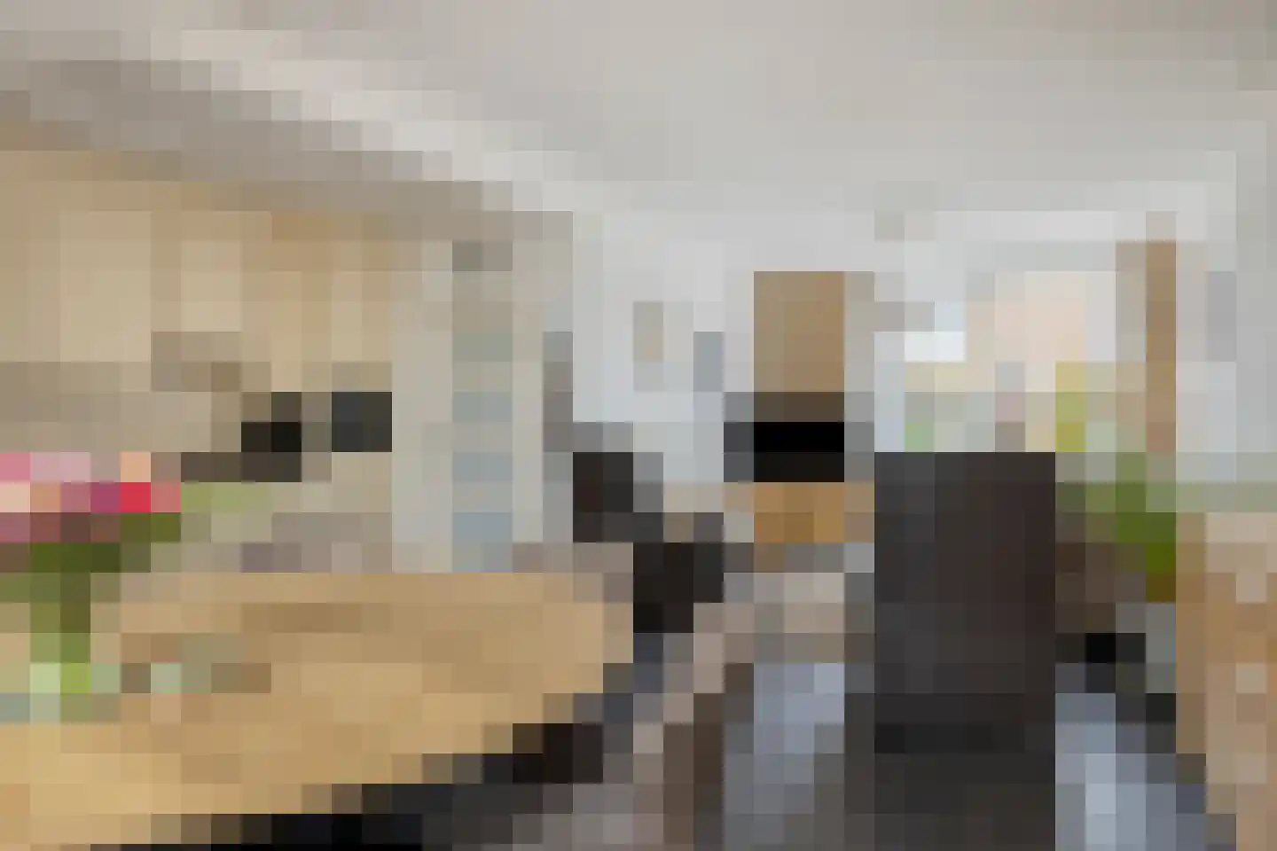 Pastoor M. van Beekstraat 23 Best thumbnail 10