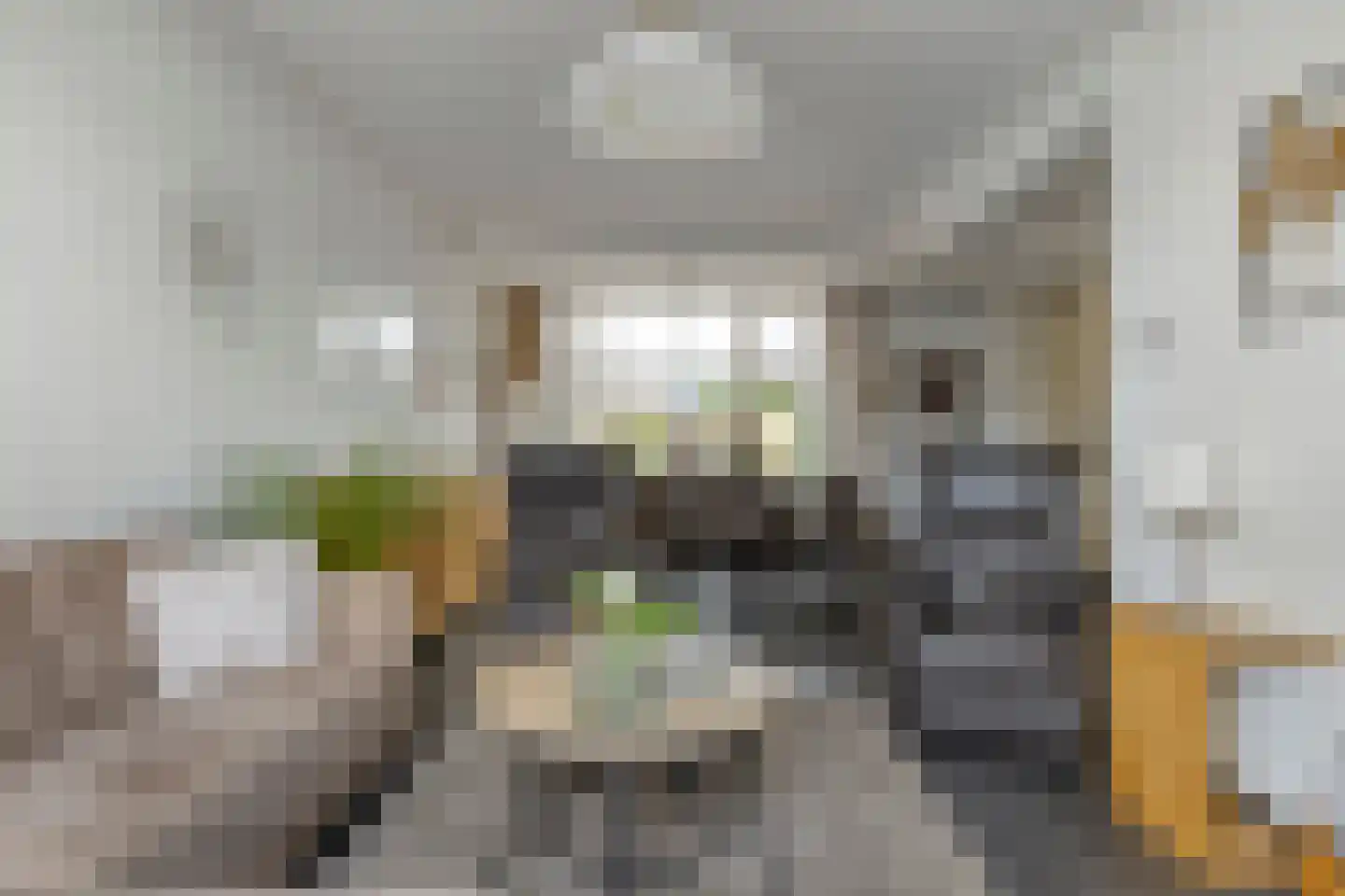 Pastoor M. van Beekstraat 23 Best thumbnail 8