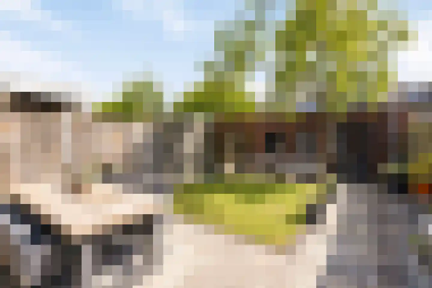 Pastoor M. van Beekstraat 27 Best thumbnail 38