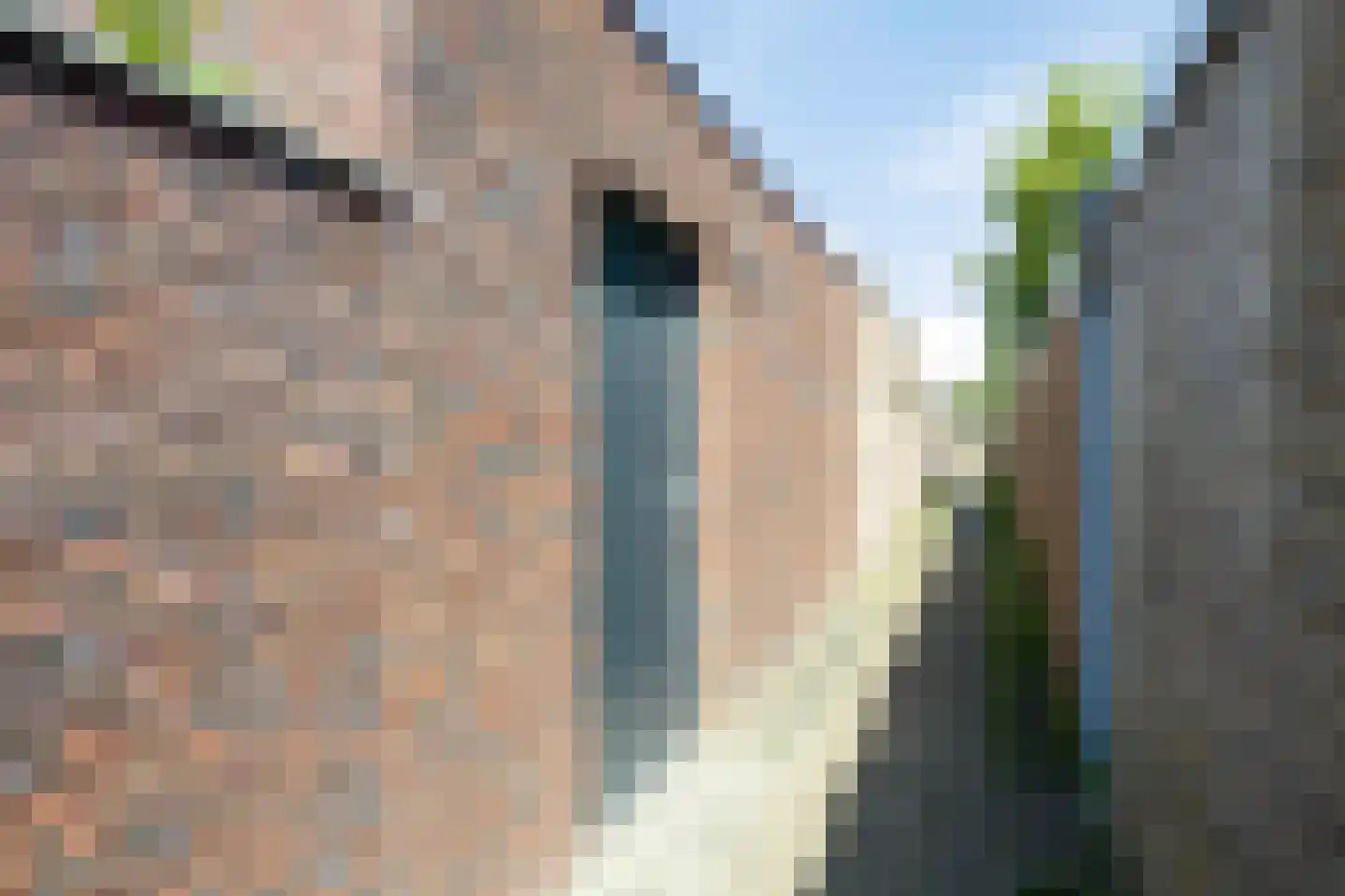 Pastoor M. van Beekstraat 27 Best thumbnail 41