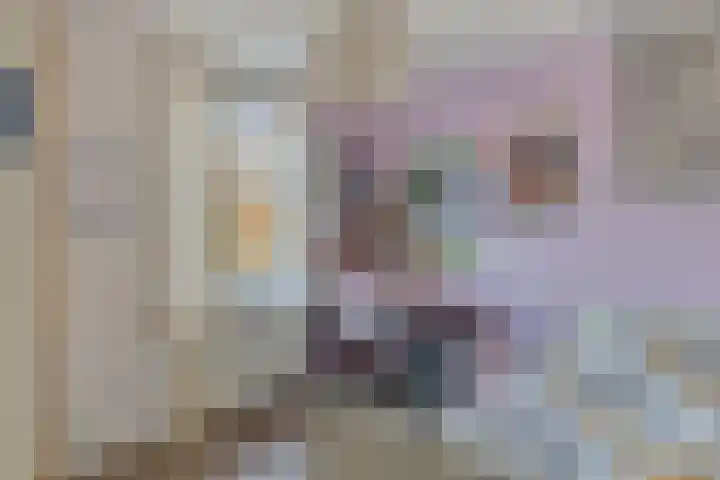Pastoor Maessenstraat 20 Tienray thumbnail 17
