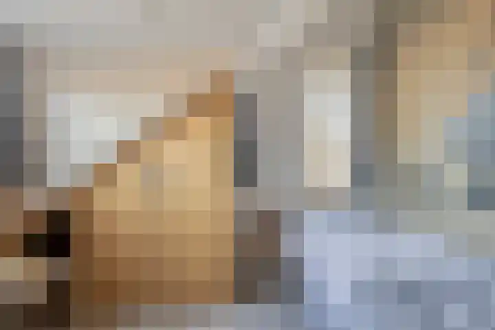 Pastoor Maessenstraat 20 Tienray thumbnail 22