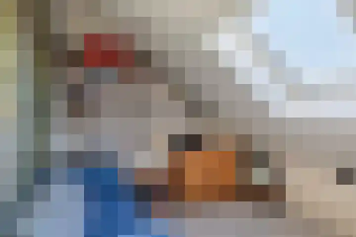 Pastoor Maessenstraat 20 Tienray thumbnail 24