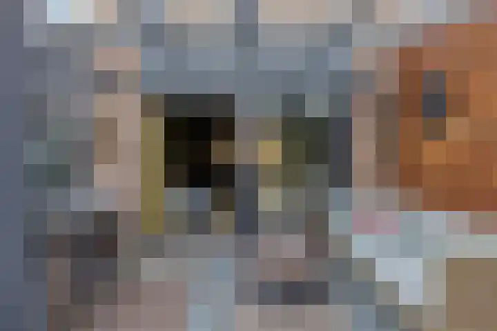 Pastoor Maessenstraat 20 Tienray thumbnail 28