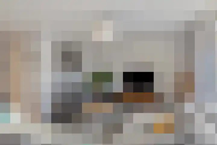 Pastoor Maessenstraat 20 Tienray thumbnail 4