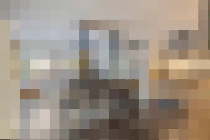 Pastoor Maessenstraat 20 Tienray thumbnail 9