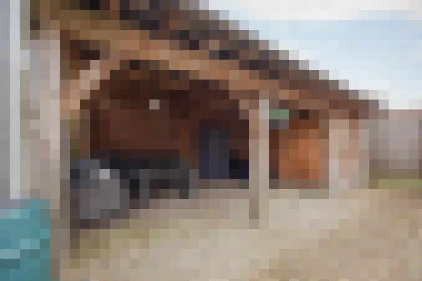 Pastoor Maessenstraat 7 a Tienray thumbnail 6