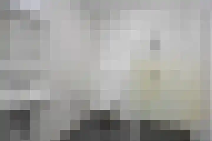 Pastoor Maessenstraat 7 D Wijlre thumbnail 10