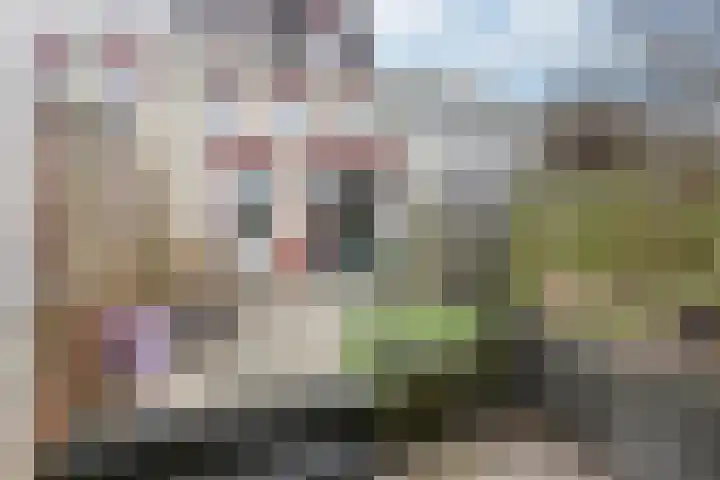 Pastoor Mainsstraat 15 Kerkrade thumbnail 21