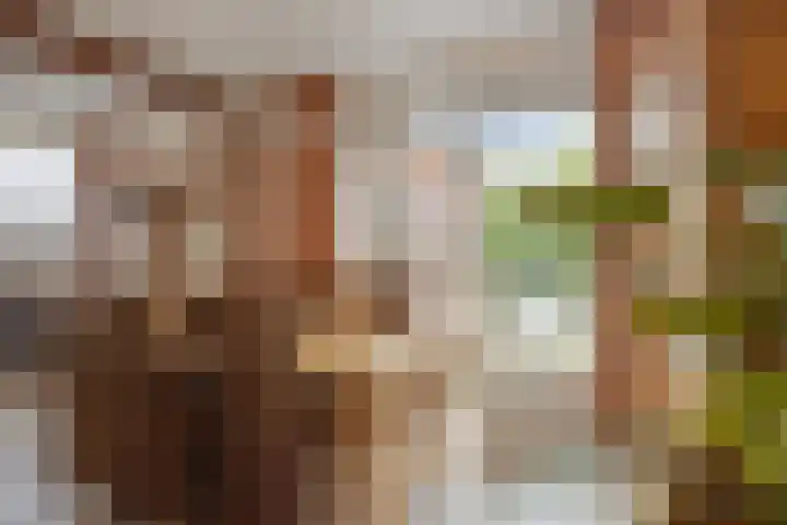 Pastoor Martensstraat 12 Vlodrop thumbnail 10