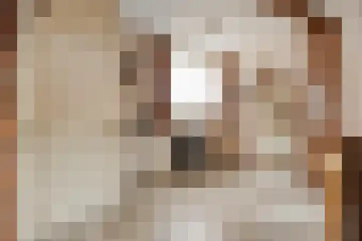Pastoor Martensstraat 12 Vlodrop thumbnail 11