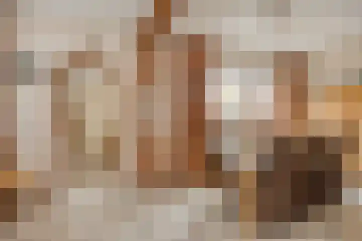 Pastoor Martensstraat 12 Vlodrop thumbnail 12