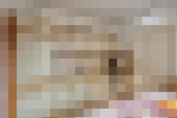 Pastoor Martensstraat 12 Vlodrop thumbnail 14