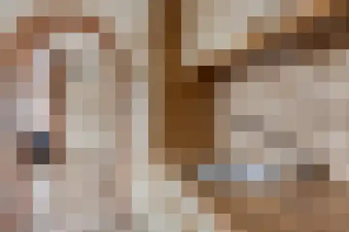 Pastoor Martensstraat 12 Vlodrop thumbnail 16