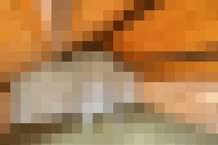 Pastoor Martensstraat 12 Vlodrop thumbnail 27