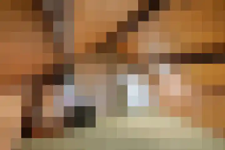 Pastoor Martensstraat 12 Vlodrop thumbnail 28
