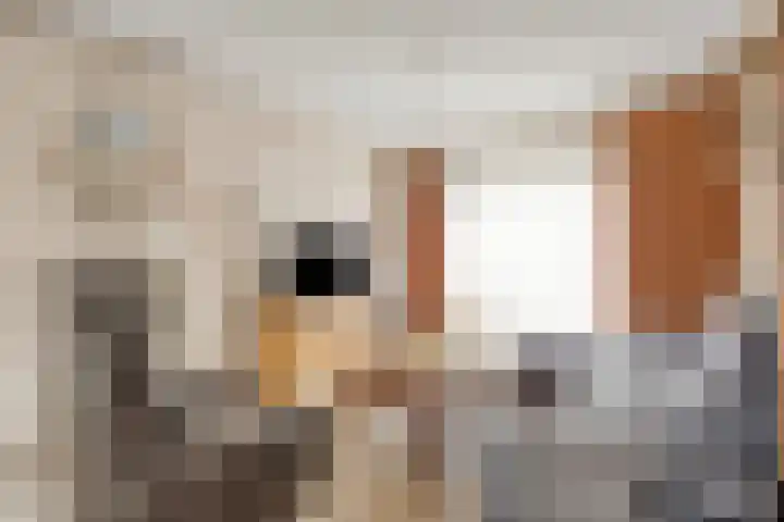 Pastoor Martensstraat 12 Vlodrop thumbnail 5
