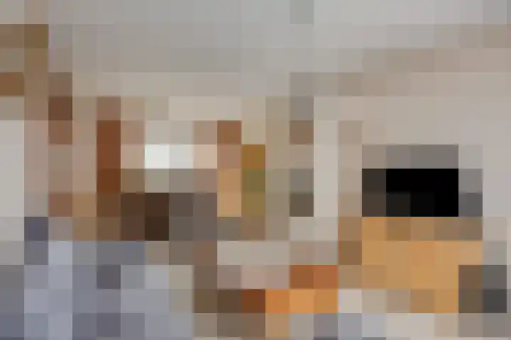Pastoor Martensstraat 12 Vlodrop thumbnail 7