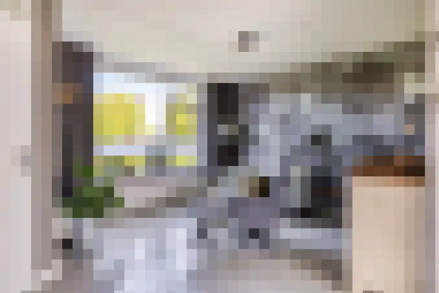 Pastoor Meijndersstraat 14 Tuitjenhorn thumbnail 4