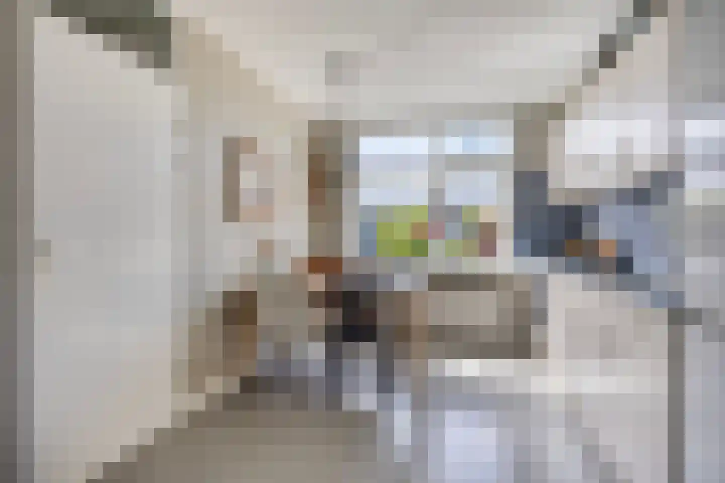 Pastoor Meijndersstraat 14 Tuitjenhorn thumbnail 8