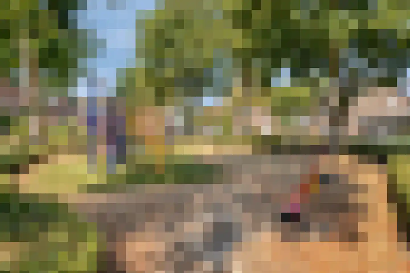 Pastoor Meullenersplein 2 Obbicht thumbnail 46