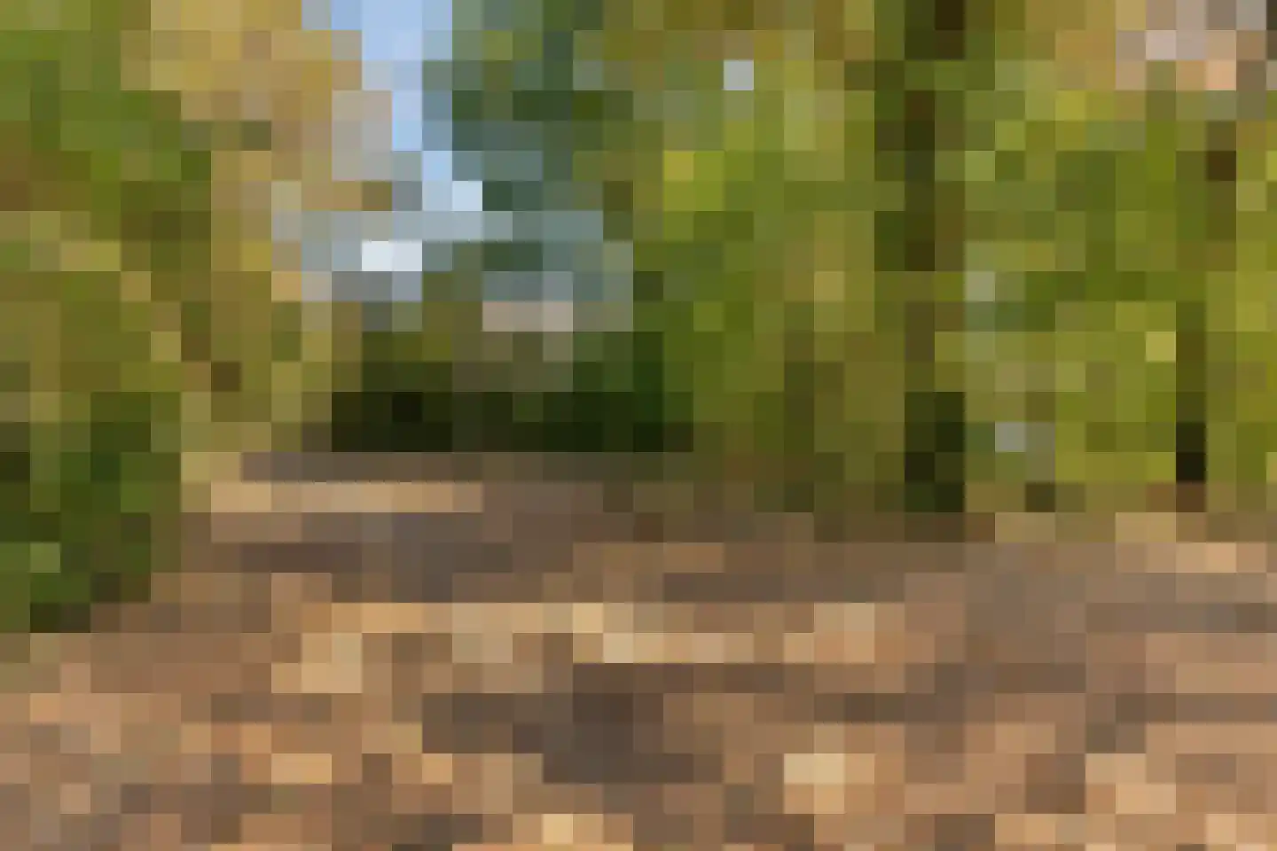 Pastoor Meullenersplein 2 Obbicht thumbnail 48