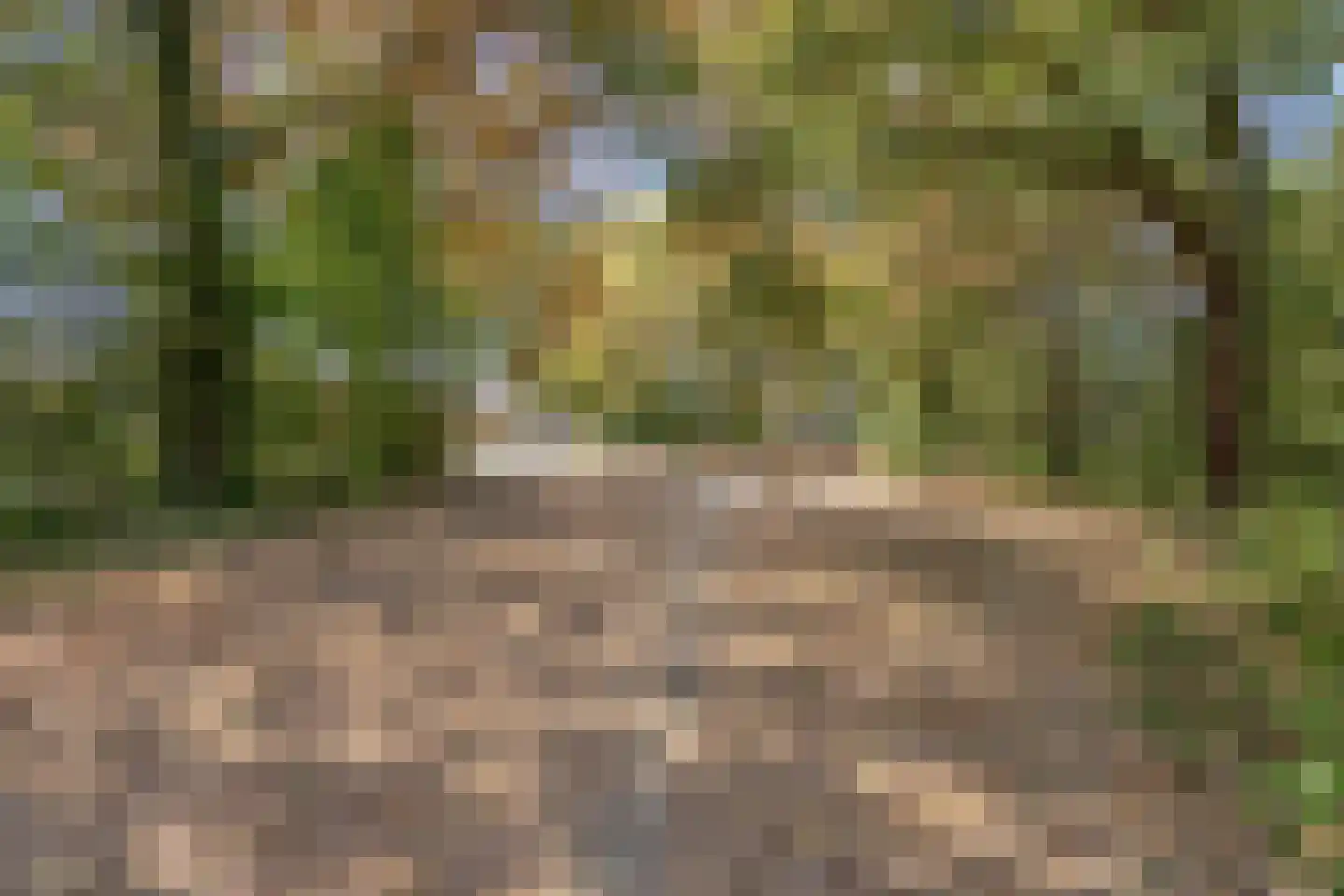 Pastoor Meullenersplein 2 Obbicht thumbnail 49