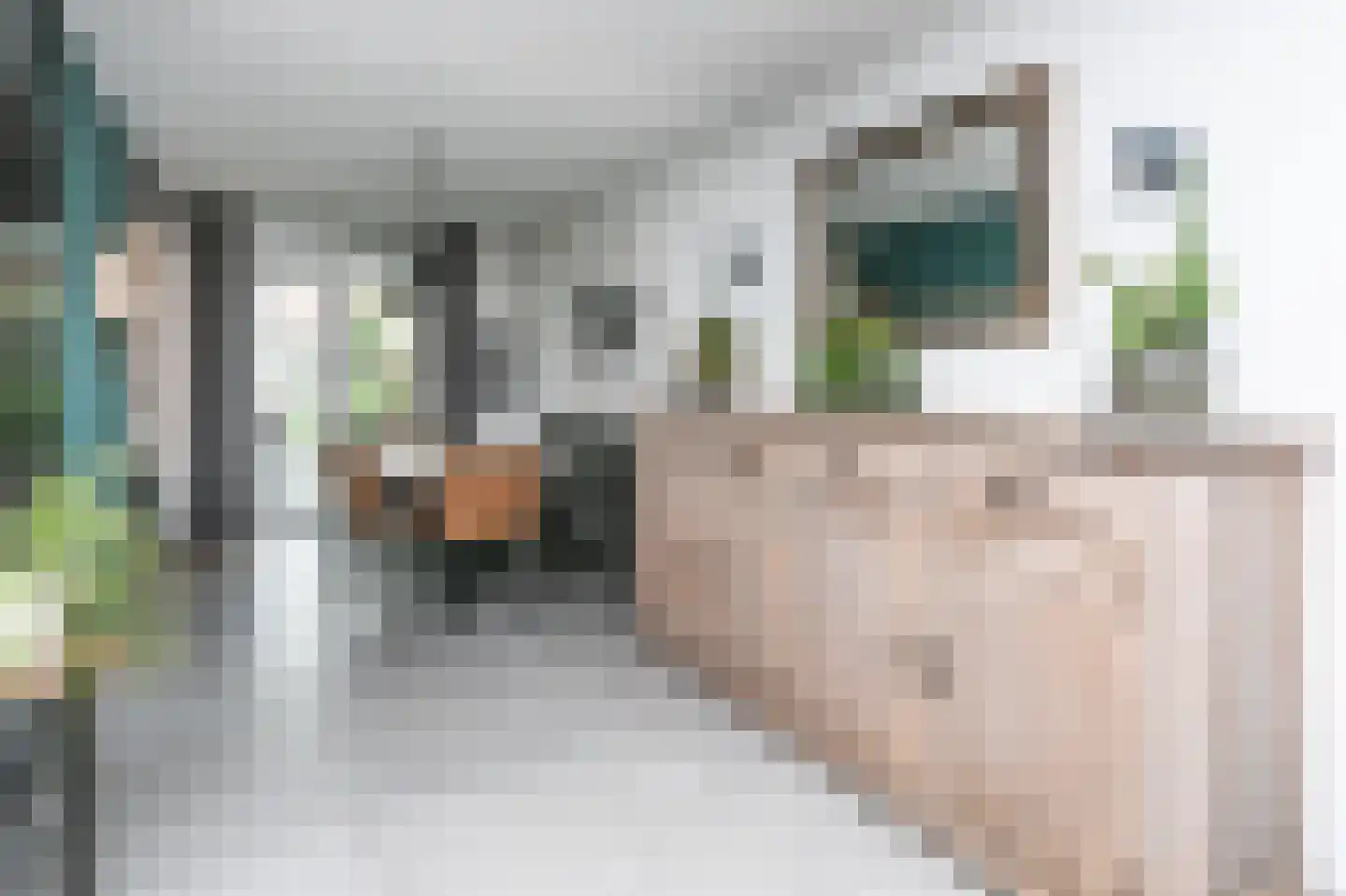 Pastoor Moonenhof 9 Brunssum thumbnail 10