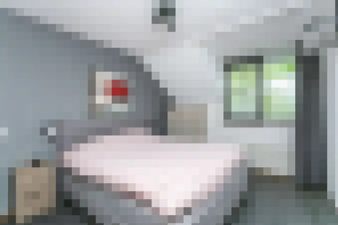 Pastoor Moonenhof 9 Brunssum thumbnail 15
