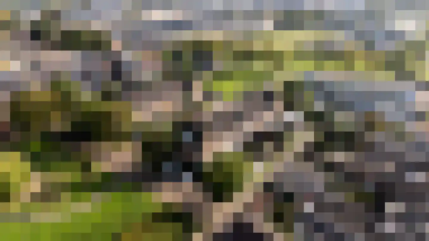 Pastoor Mulkenshof 24 Maastricht thumbnail 33