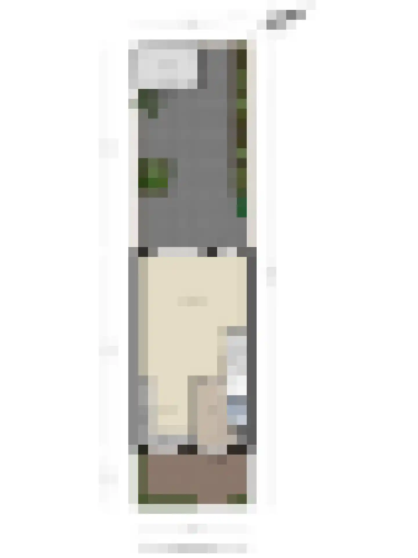 Pastoor Mulkenshof 24 Maastricht thumbnail 35