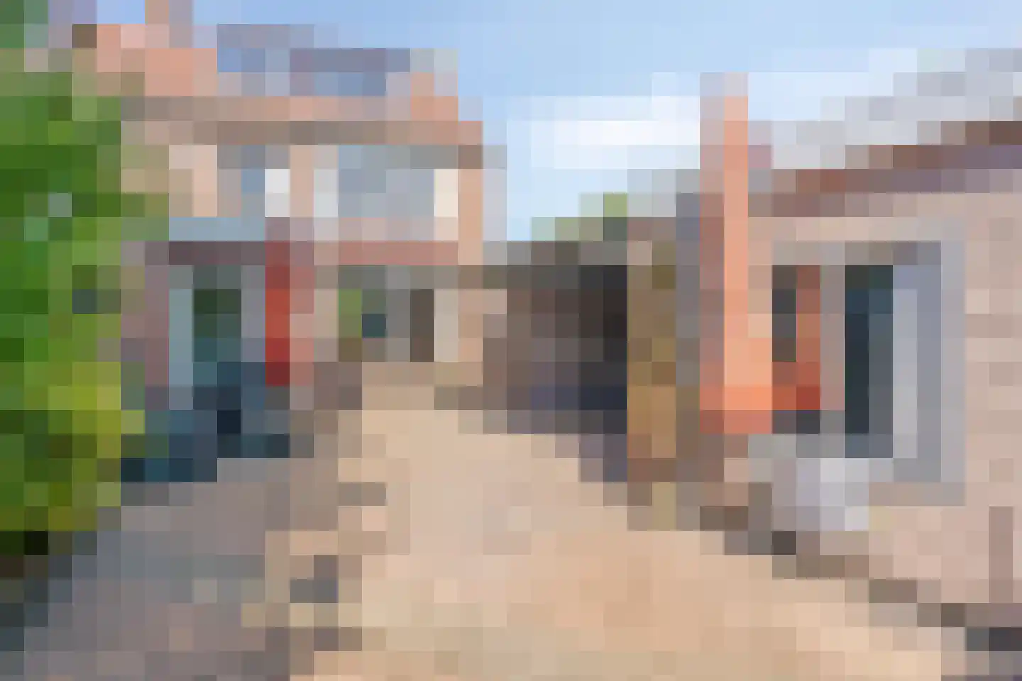 Pastoor Nevestraat 1 Nijmegen thumbnail 27