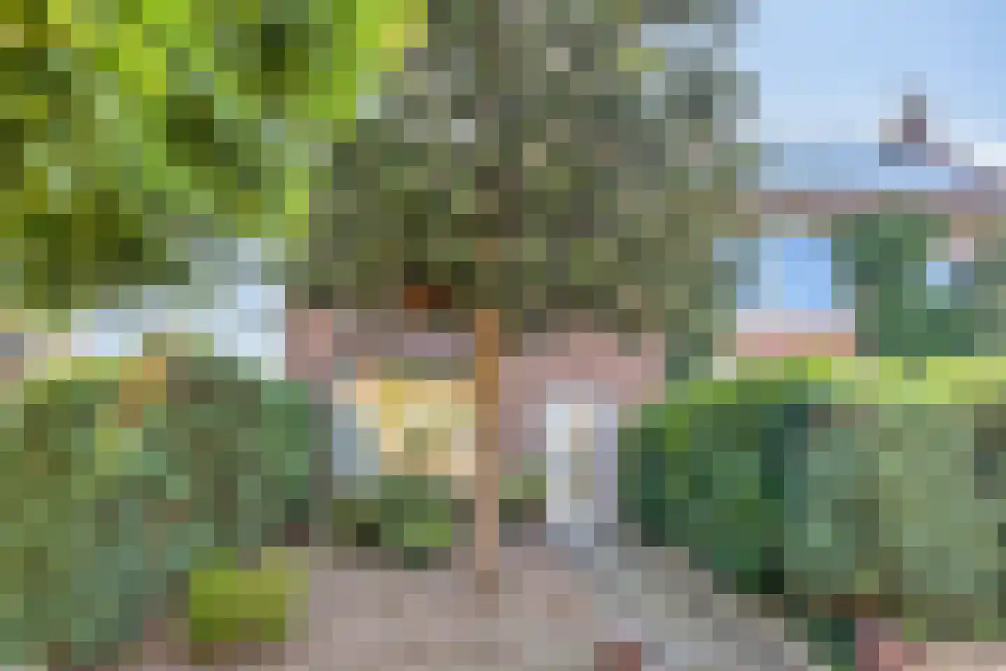 Pastoor Nevestraat 1 Nijmegen thumbnail 6