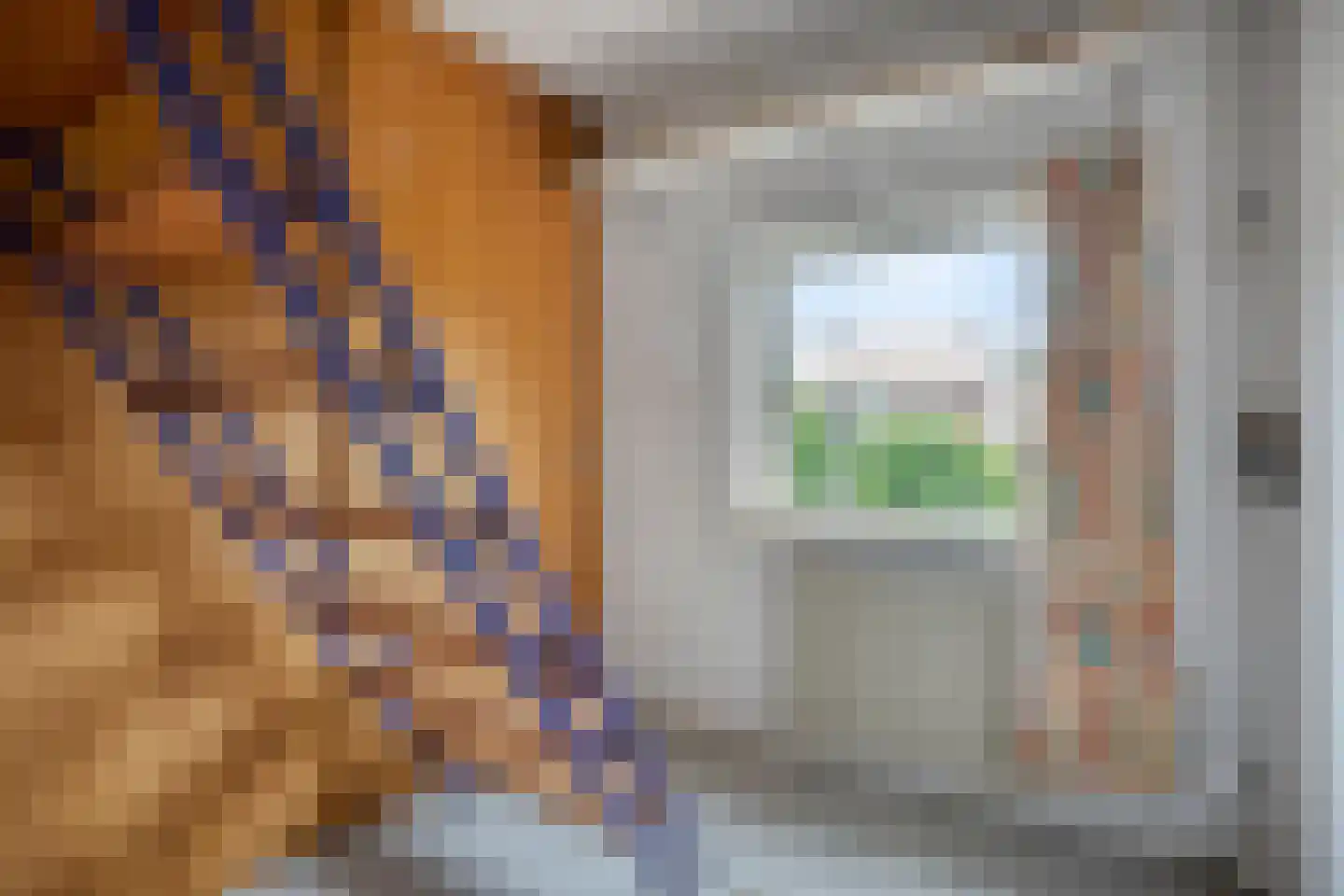 Pastoor Nevestraat 14 Nijmegen thumbnail 21