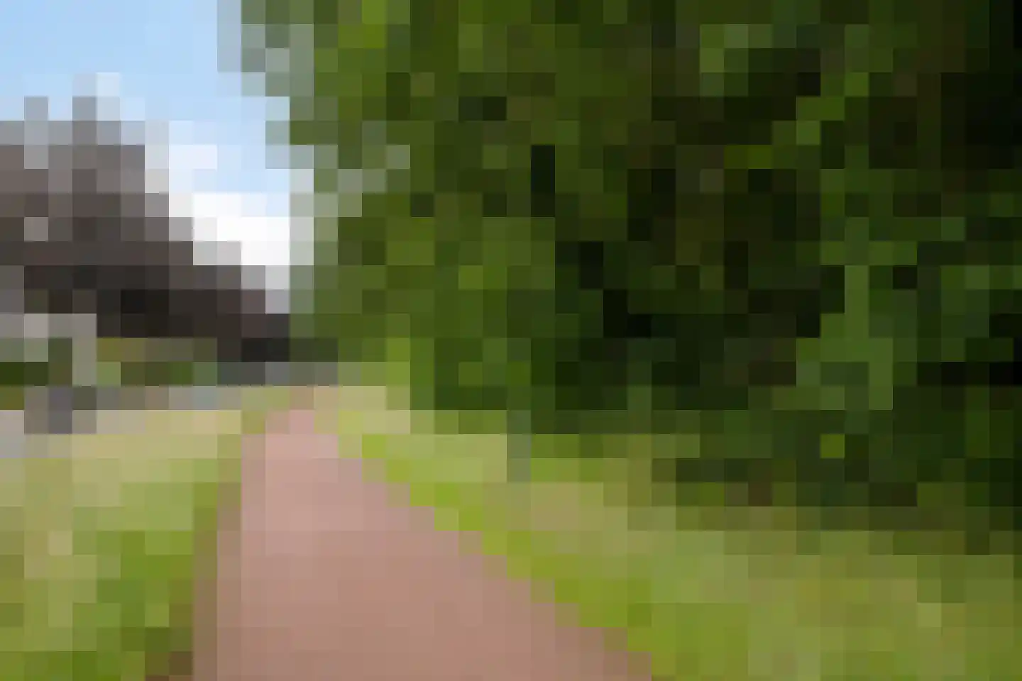 Pastoor Nevestraat 14 Nijmegen thumbnail 29