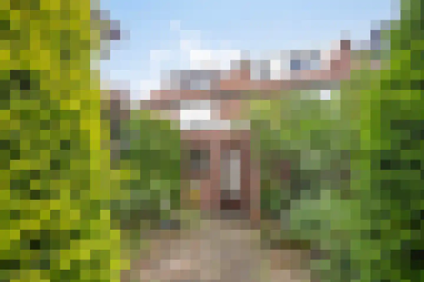 Pastoor Nevestraat 14 Nijmegen thumbnail 4