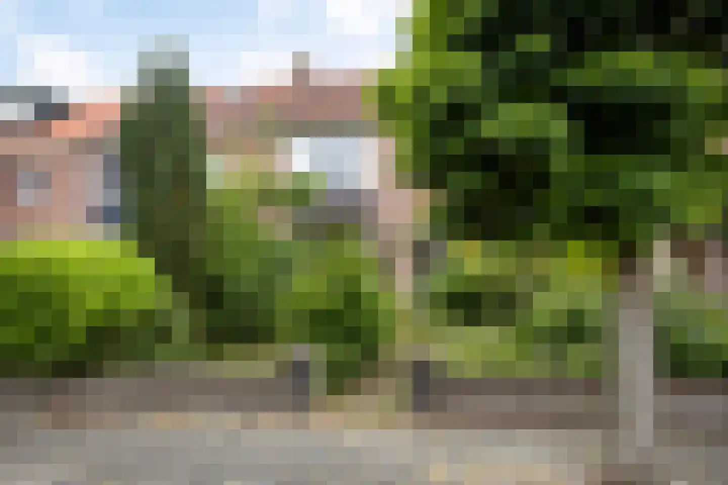 Pastoor Nevestraat 14 Nijmegen thumbnail 5