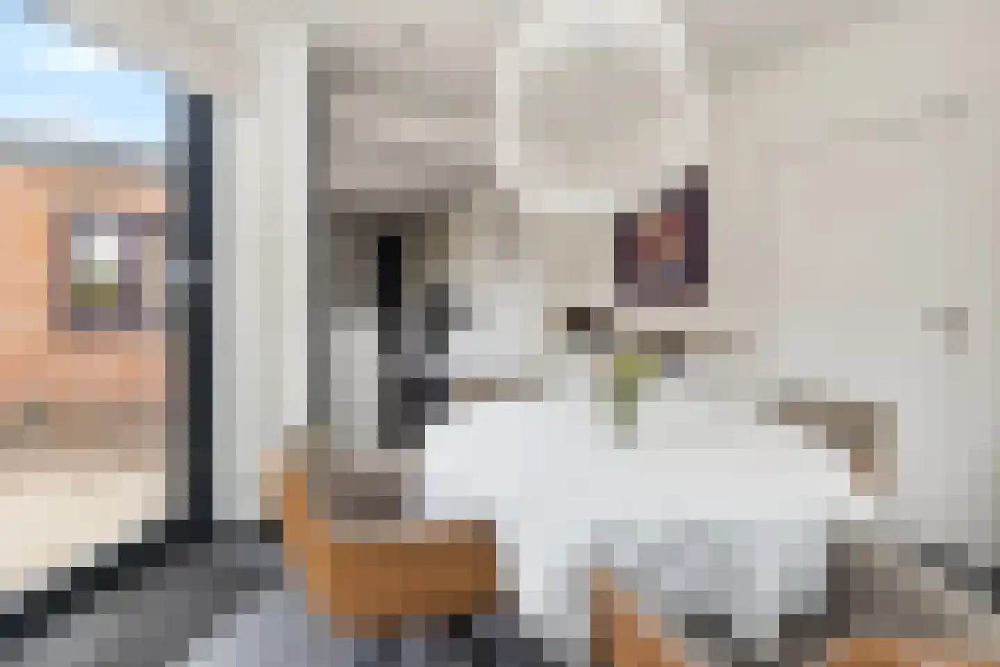 Pastoor Nicolaus de Reimsstraat 40 Meerssen thumbnail 15